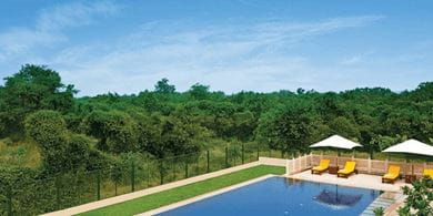 The Oberoi Sukhvilas is surrounded by over 8,000 acres of the Siswan forest range