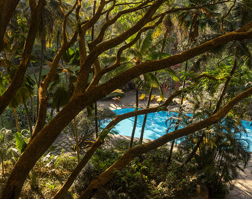 Hotel Oberoi Bengaluru pool surrounded by lush trees.