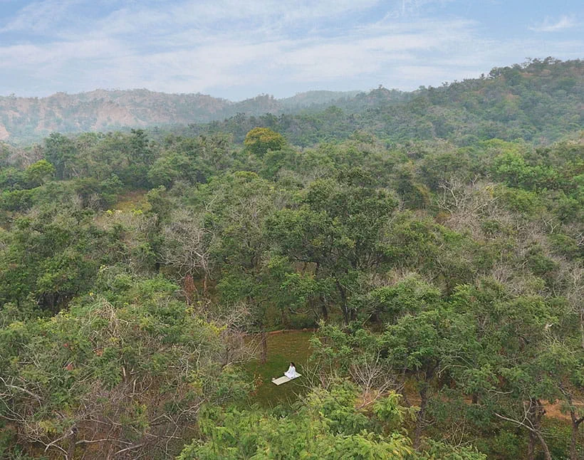 Aerial view of dense forest surrounding person meditating at 5-star Oberoi Sukhvilas, Siswan Forest Resort