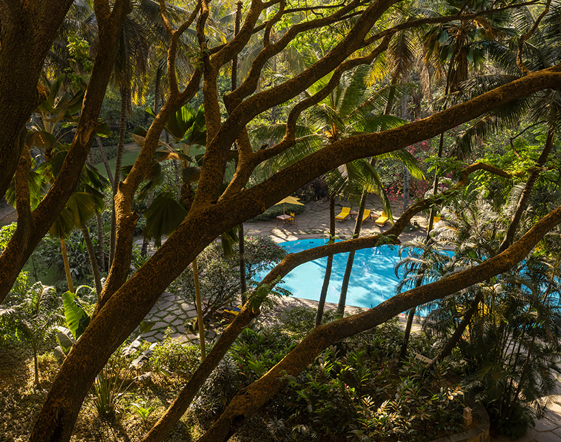 Pool at The Oberoi Bengaluru surrounded by lush greenery.
