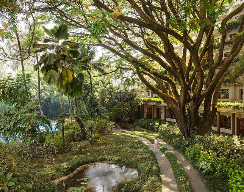  Large tree near pathway, The Oberoi Bengaluru garden, lush surroundings