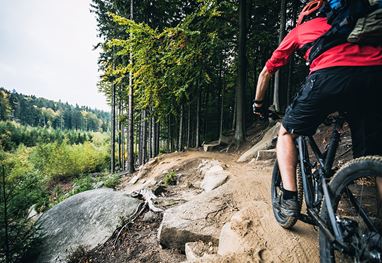 A cyclist rides on a forest trail in Shimla hills
