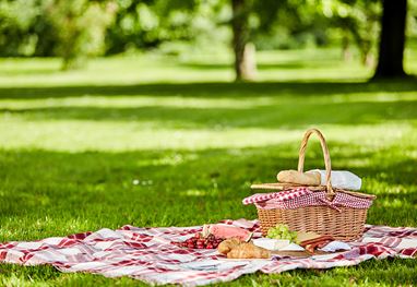 Picnic basket on checkered blanket in lush green park setting