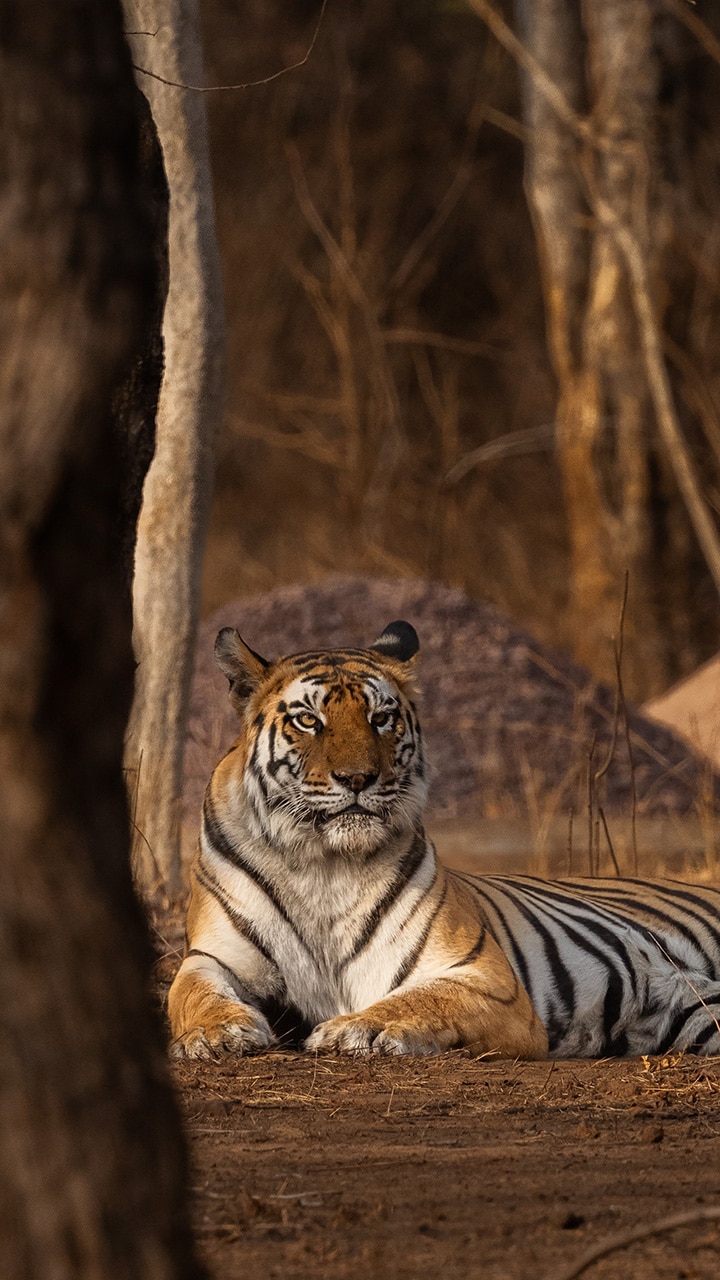 Raise a Toast to Luxury