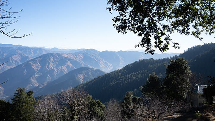 Hill Top view from Mashobra, Best Place to Visit Near Shimla