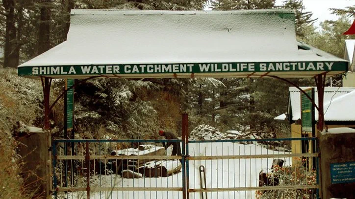 The Water Catchment Sanctuary, Shimla