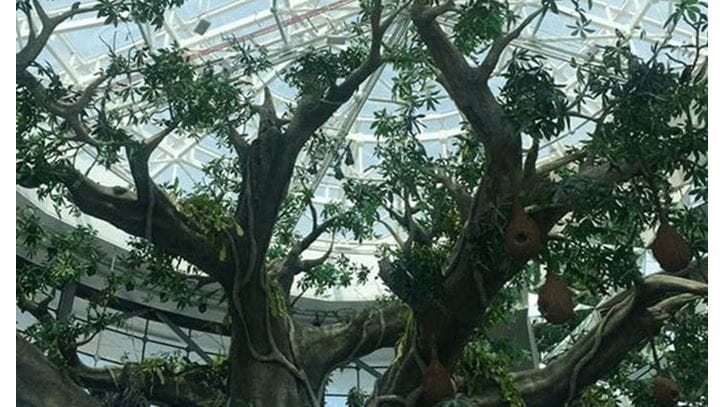 Green Planet 'Rainforest' Visit Experience, The Oberoi Dubai