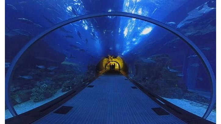 Lost Chambers Aquarium Visit Experience, The Oberoi Dubai