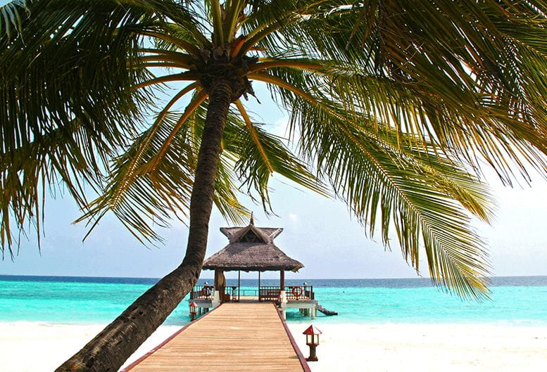 Get The Oberoi Beach Resort Sahl Hasheesh Pictures