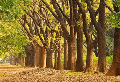 bengaluru