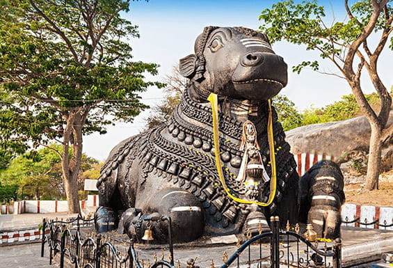 Nandi Bull Temple Bengaluru