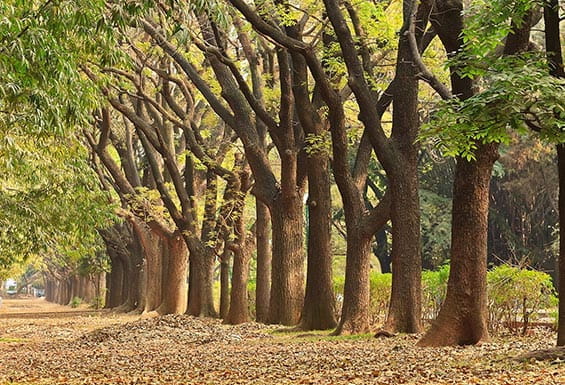 Smaaash Cubbon Park Bangalore