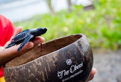 A glimpse of the turtle beach at The Oberoi Beach Resort, Bali.