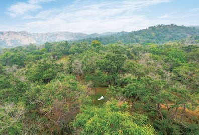 Forest Bathing- The Oberoi Sukhvilas Spa Resort, New Chandigarh