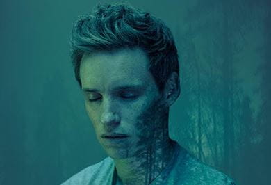 Eddie Redmayne, (Forest), 2016