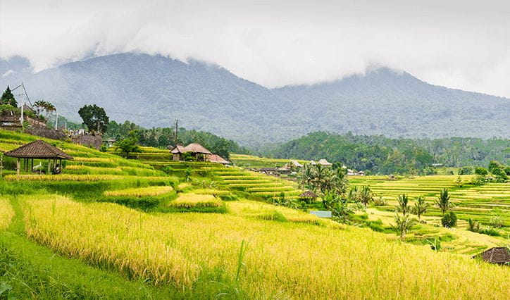 Jatiluwih Village