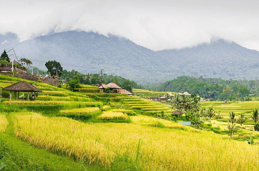 Jatiluwih Village, Bali