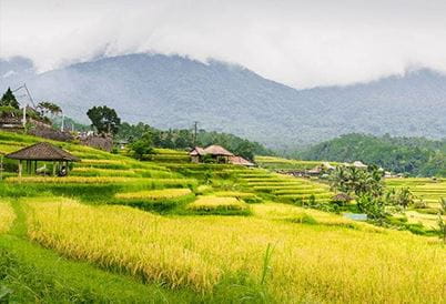 Jatiluwih Village, Bali