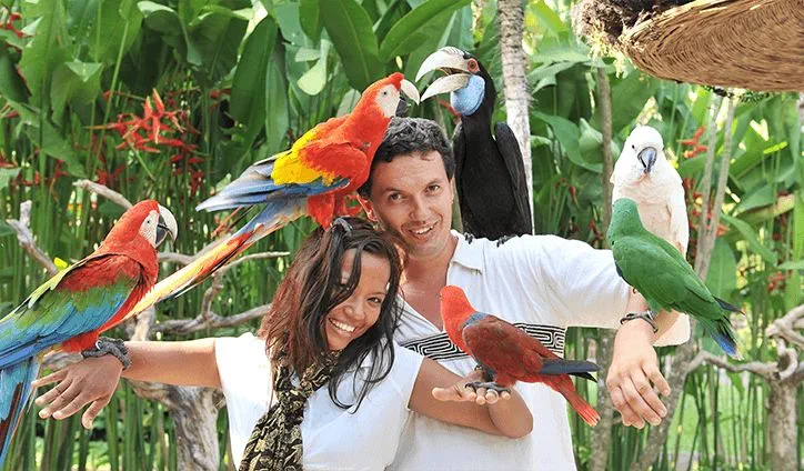 Bird Park Experience in Bali