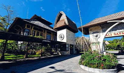 Safari and Marine Park Experience in Bali