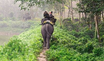 Elephant Safari Experience in Bali