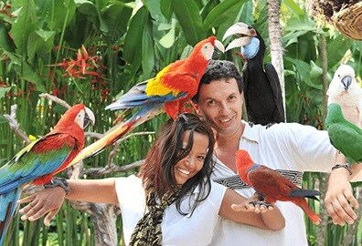 Bird Park Experience in Bali