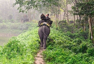 Elephant Safari Experience in Bali