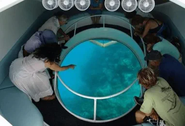 Glass Bottom Boat Ride Experience in Bali