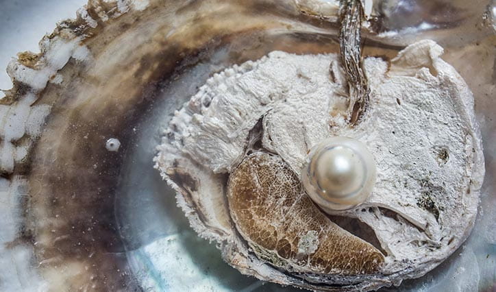 al-zorah-experience-pearl-journey-724x426