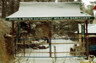 The Water Catchment Sanctuary, Shimla