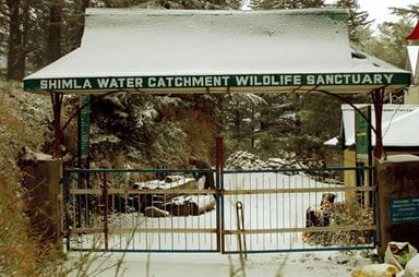 The Water Catchment Sanctuary, Shimla