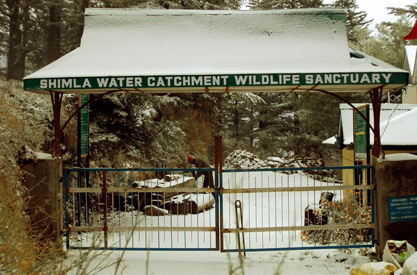 The Water Catchment Sanctuary, Shimla