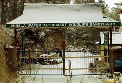 The Water Catchment Sanctuary, Shimla