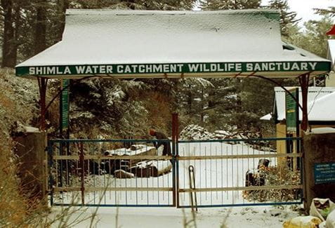 The Water Catchment Sanctuary, Shimla