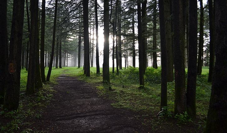 Chail, Shimla