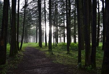 Chail, Shimla