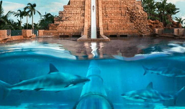 Aquaventure Waterpark at Atlantis | The Oberoi, Dubai