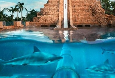 Aquaventure Waterpark Experience, The Oberoi Dubai