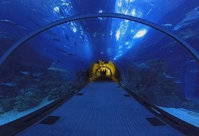 Lost Chambers Aquarium Visit Experience, The Oberoi Dubai