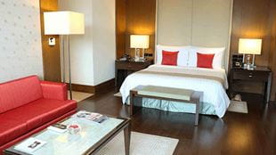 Luxury Suites at 5 Star Hotel The Oberoi Gurgaon