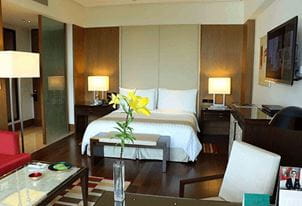 Premier Rooms at 5 Star Hotel The Oberoi Gurgaon