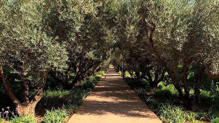 Les Jardins des Oliviers Luxury Events Venue at 5 Star Hotel The Oberoi Marrakech