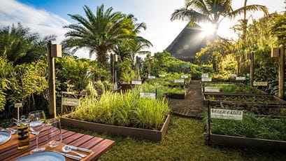 The Herb Trail at The Oberoi Beach Resort Mauritius