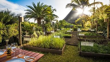 The Herb Trail at The Oberoi Beach Resort Mauritius