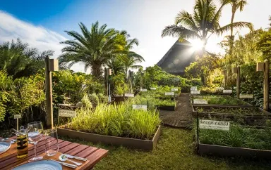 The Herb Trail at The Oberoi Beach Resort Mauritius