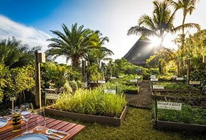 The Herb Trail at The Oberoi Beach Resort Mauritius