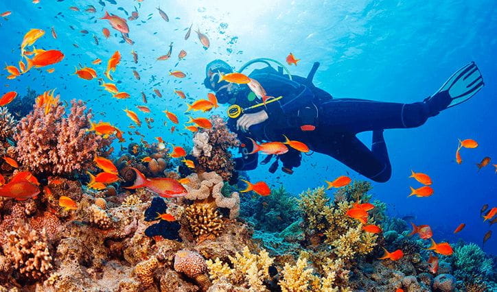 Scuba Diving Experience at The Oberoi Beach Resort Mauritius