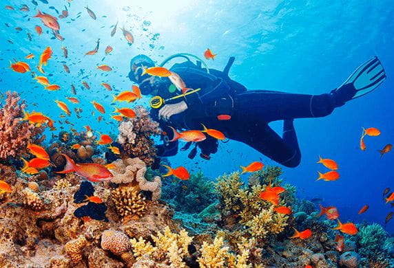 Scuba Diving Experience at The Oberoi Beach Resort Mauritius