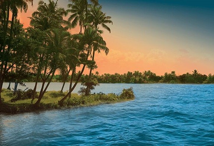 The Backwaters of Kerala