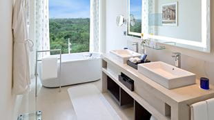 Premier Plus Rooms at The 5 Star Hotel in Delhi, The Oberoi New Delhi